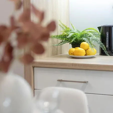 Chlodna Modern Near The Centre By Renters *